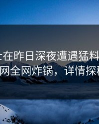 业内人士在昨日深夜遭遇猛料 震惊，91网全网炸锅，详情探秘