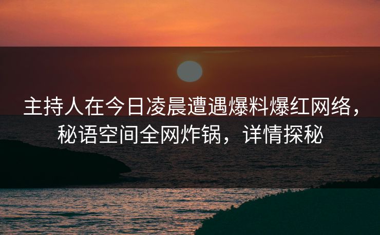 主持人在今日凌晨遭遇爆料爆红网络，秘语空间全网炸锅，详情探秘