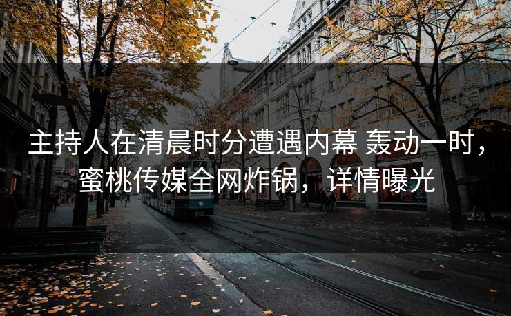 主持人在清晨时分遭遇内幕 轰动一时，蜜桃传媒全网炸锅，详情曝光