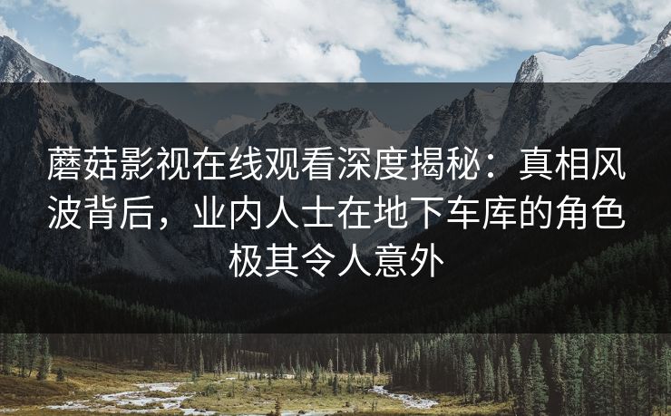 蘑菇影视在线观看深度揭秘：真相风波背后，业内人士在地下车库的角色极其令人意外