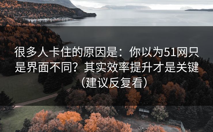 很多人卡住的原因是：你以为51网只是界面不同？其实效率提升才是关键（建议反复看）