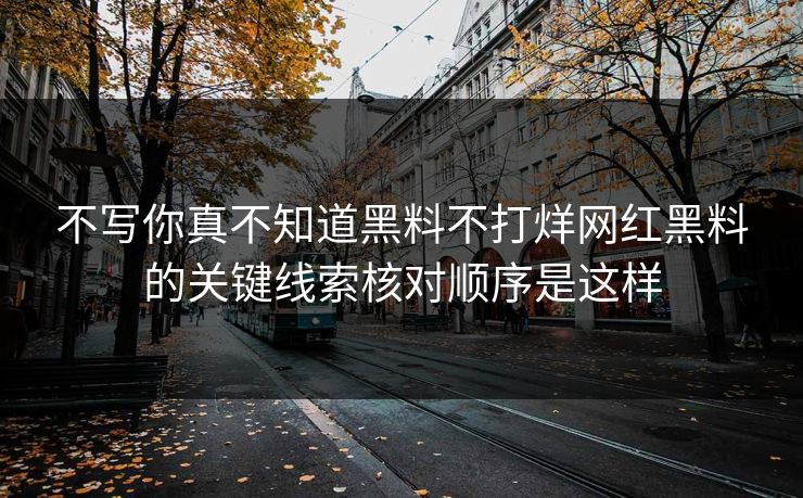 不写你真不知道黑料不打烊网红黑料的关键线索核对顺序是这样